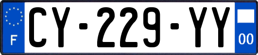 CY-229-YY