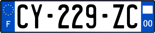 CY-229-ZC