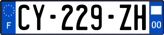 CY-229-ZH