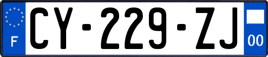 CY-229-ZJ