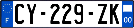 CY-229-ZK