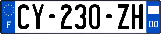CY-230-ZH