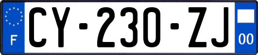 CY-230-ZJ