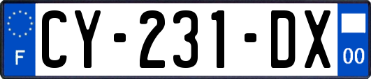CY-231-DX