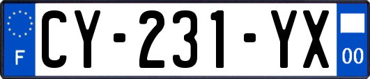 CY-231-YX