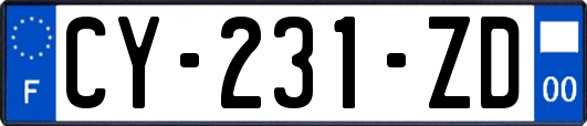 CY-231-ZD
