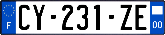 CY-231-ZE
