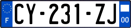 CY-231-ZJ