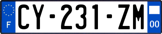CY-231-ZM