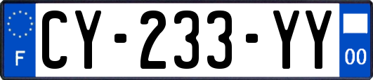 CY-233-YY