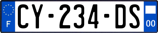 CY-234-DS