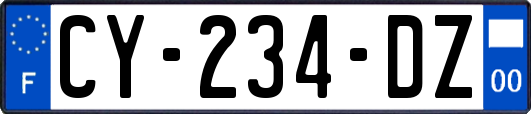 CY-234-DZ