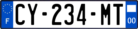 CY-234-MT