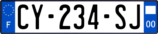 CY-234-SJ