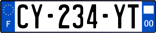 CY-234-YT