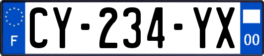 CY-234-YX
