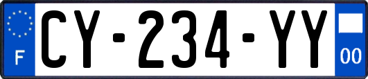 CY-234-YY