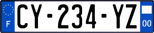 CY-234-YZ