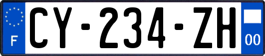 CY-234-ZH