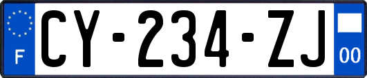 CY-234-ZJ