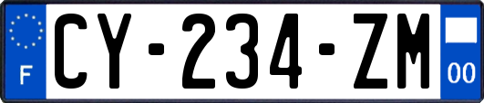 CY-234-ZM