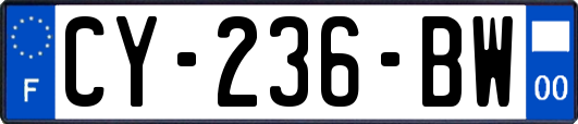 CY-236-BW