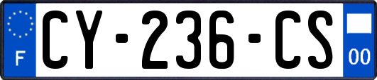 CY-236-CS