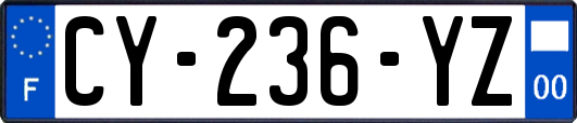 CY-236-YZ