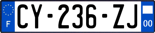 CY-236-ZJ