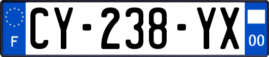 CY-238-YX