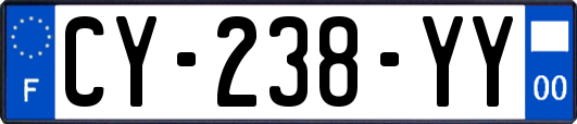 CY-238-YY