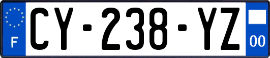 CY-238-YZ
