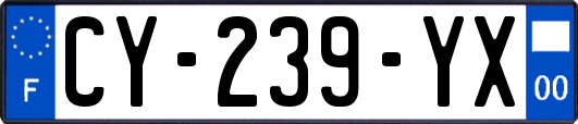 CY-239-YX