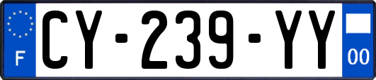 CY-239-YY
