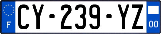 CY-239-YZ