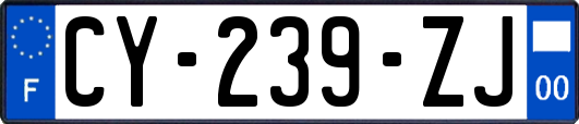 CY-239-ZJ