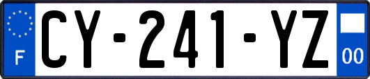 CY-241-YZ