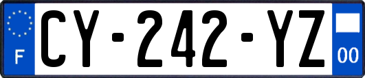 CY-242-YZ