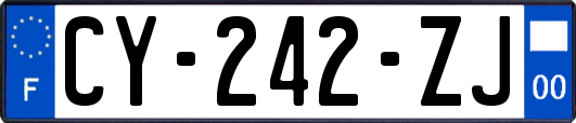 CY-242-ZJ