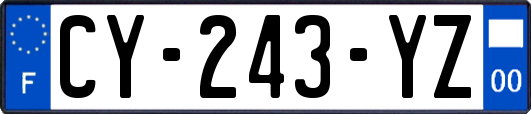 CY-243-YZ