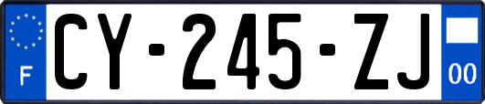 CY-245-ZJ