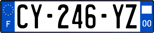 CY-246-YZ