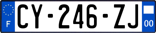 CY-246-ZJ