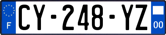 CY-248-YZ