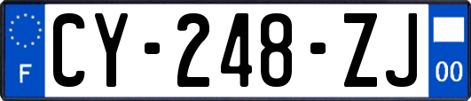 CY-248-ZJ