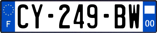 CY-249-BW