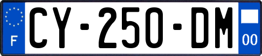 CY-250-DM