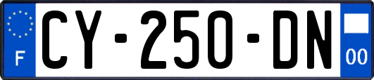 CY-250-DN