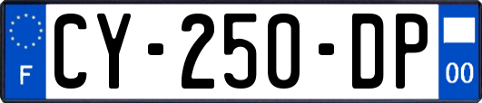 CY-250-DP