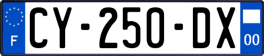 CY-250-DX